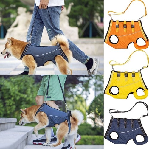 Dog front back lift support - front&back,
