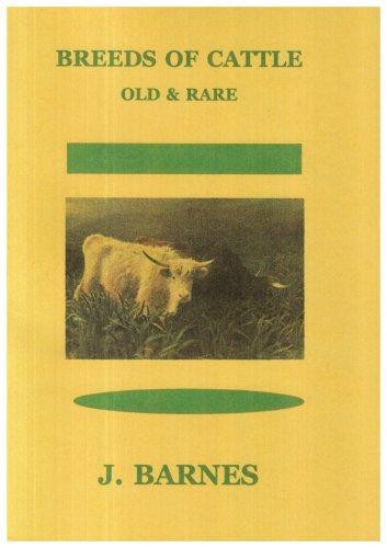 Old and rare - old,