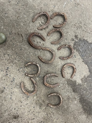 Used real horseshoe x - 🌟🐴used,