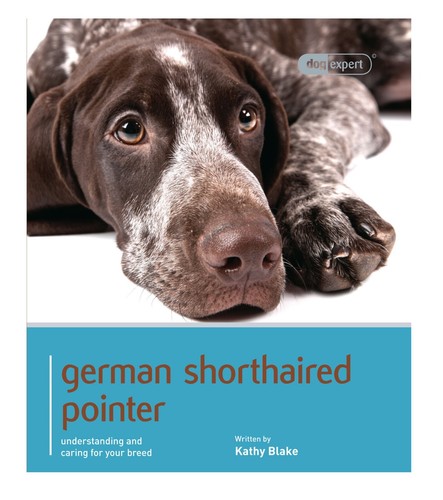 German shorthaired pointer - german,