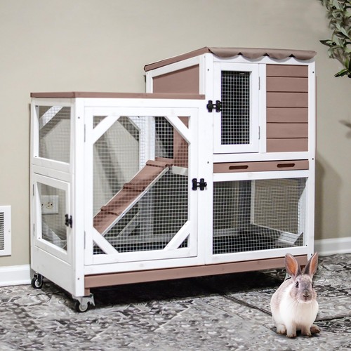 Rabbit hutch indoor outdoor - rabbit,