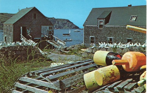 Lobster pots and - lobster,