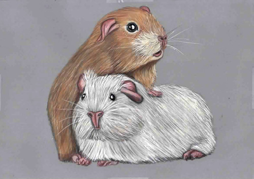 Original drawn artwork - original,