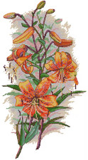 Counted cross stitch - stitch, kit