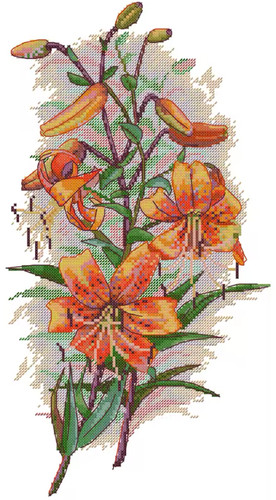 Counted cross stitch kit - counted,