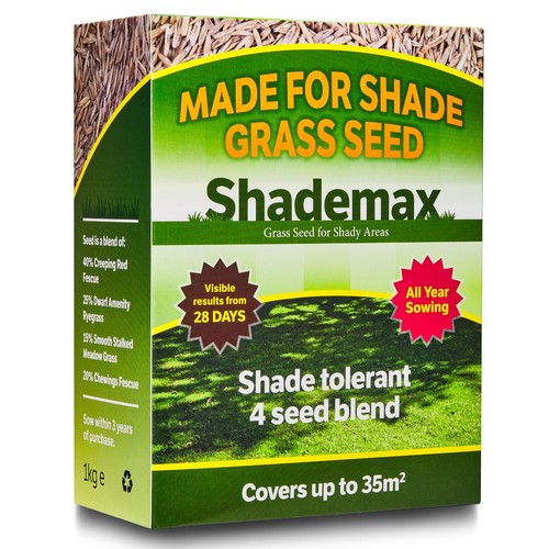 Grass seed for shady - seed,
