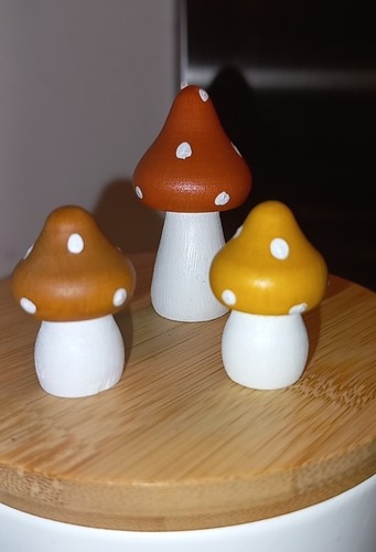 Handmade wooden mushroom - handmade,