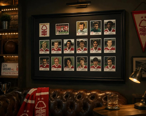 Nottingham forest framed - forest,