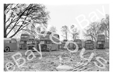 Bus photograph midland red - photograph,