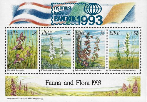 1993 ireland ms875 - ireland, irish