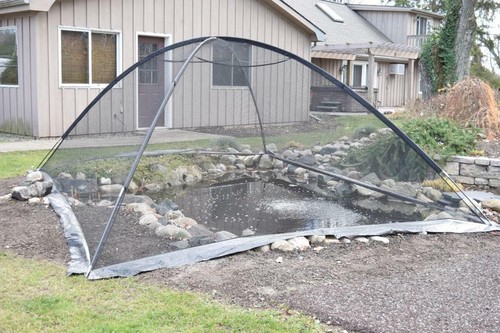 Easypro pond garden cover - garden,