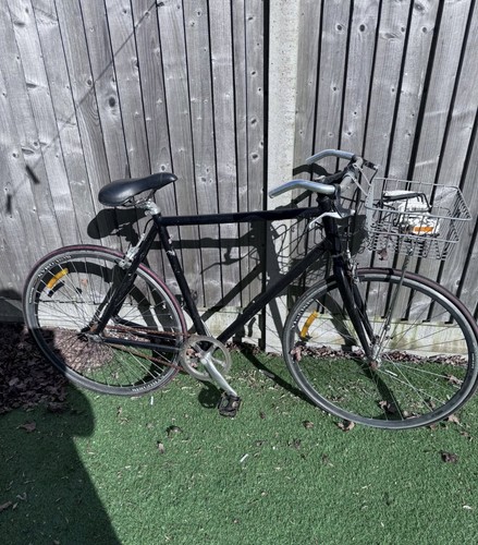 Lightweight frame single speed - lightweight,
