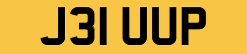 Jee equine horse horsebox - equine,