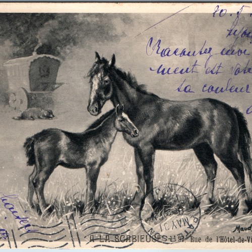 1905 lyon france - 1905, mare