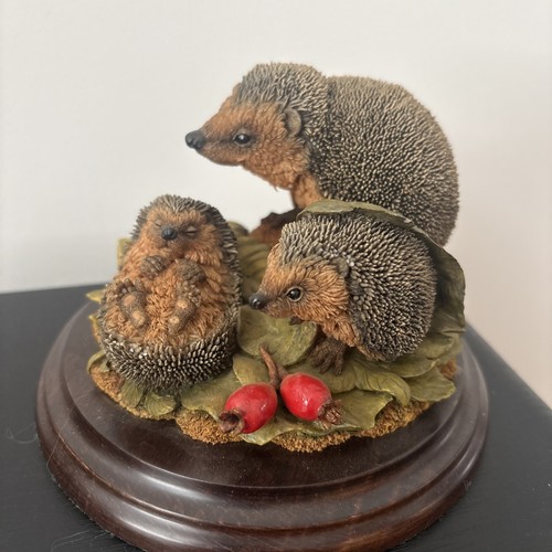 Hedgehog family country - family,