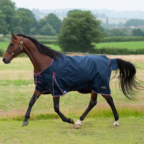 Gallop trojan ponie - /,