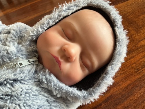Jizhi reborn baby - jizhi, doll