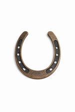 Vintage Horseshoe Lucky Charm