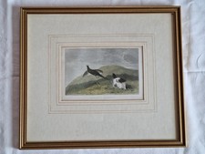 Framed Pheasant Shooting