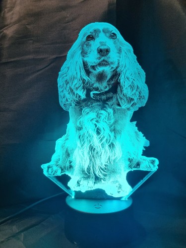 Spaniel acrylic led lamp gift - acrylic,