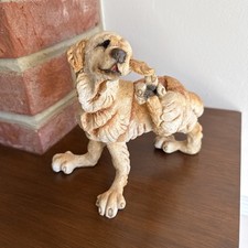 RARE COUNTRY ARTISTS BREED