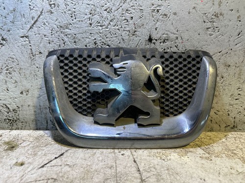 Peugeot 407 2004 - , badge
