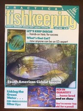 PRACTICAL FISHKEEPING - JULY 1989 - SOUTH AMERICAN CICHLIDS - KOI IN QUANTITY
