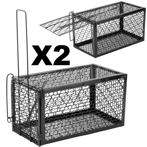 Rat trap mouse - trap, catcher