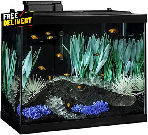 Colorfusion aquarium gallon - colorfusion,
