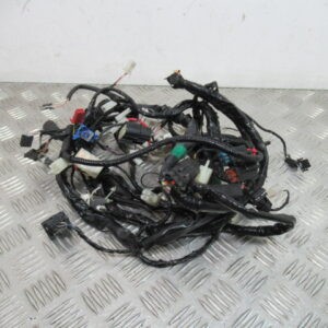 Aprilia 2t electric - sr,