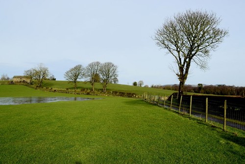 Photo 6x4 waterlogged field - photo,