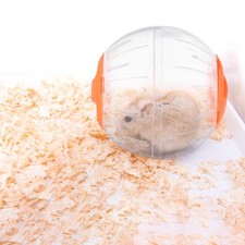  Small Pet Run about Ball