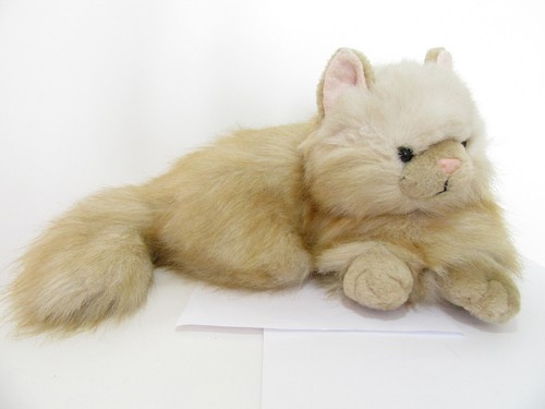 Chosun himalayan blonde - chosun,