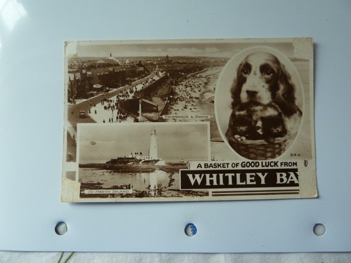 Whitley bay vintage postcard - bay.,