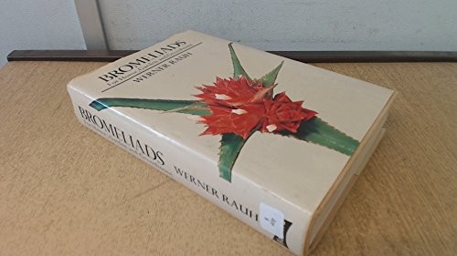 Bromeliads for home - home, and