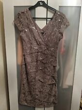 Scarlett Night Taupe Dress Fully Lined Lace And Sequin