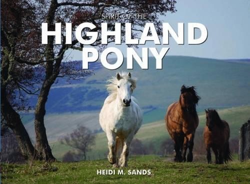 Spirit the highland pony by - of,