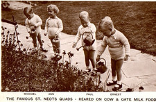 VINTAGE postcard:  THE FAMOUS ST NEOTS QUADS REARED ON COW & GATE MILK FOOD