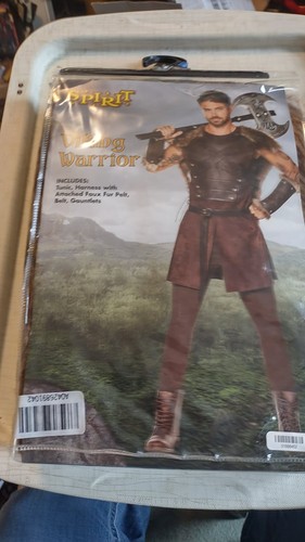 Spirit viking warrior - spirit,