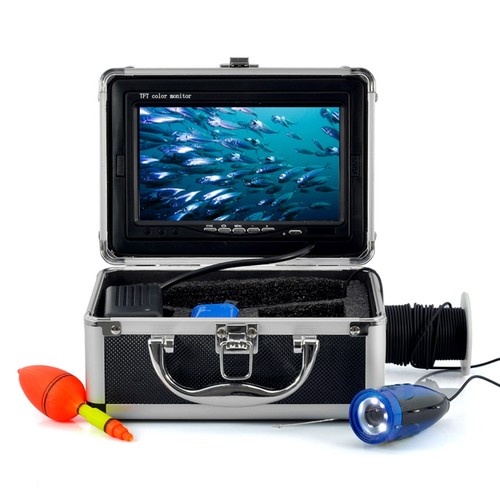 Underwater camera carp - underwater,