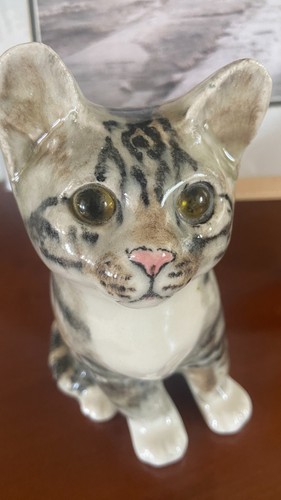 Winstanley cat exceptionally - winstanley, cat,
