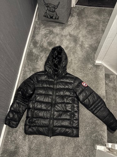 Canada goose crofton - goose, puffer