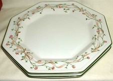 TWO JOHNSON BROTHERS ETERNAL BEAU DINNER PLATES