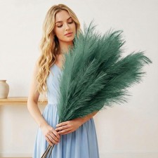 3 x Emerald Green Pampas Grass