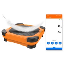 Refrigerant Electronic Scale