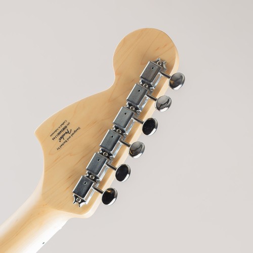 Squier fender paranormal - squier,