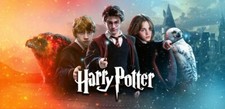 HARRY POTTER POSTER CANVAS WALL ART ABSTRACT FRAMED 30X18 INCH