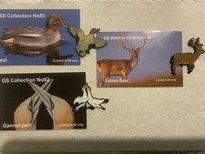 Teal, pair gannets and fallow