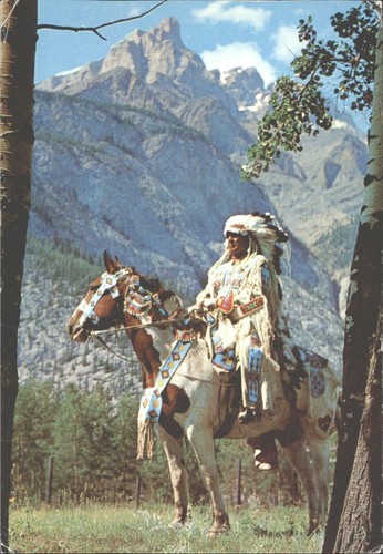 Vintage canadian indian - vintage,