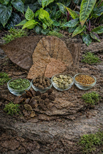 Shrimp botanical food pack - shrimp, bee
